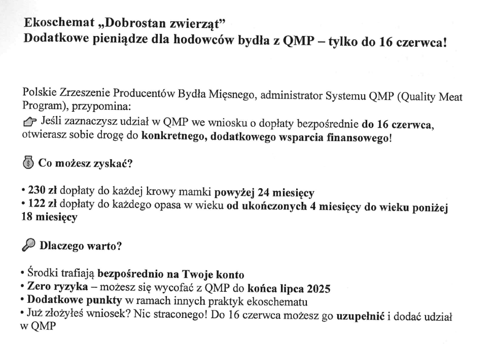 Dodatkowe pieniądze dla hodowców bydła z QMP