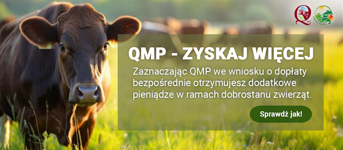 1140x500 px 1140x500 px