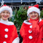 DSC 0501 krotsza 900