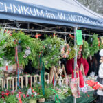 DSC 0507 krotsza 900