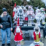 DSC 0534 krotsza 900