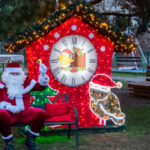 DSC 0549 krotsza 900