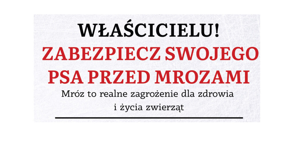 ZIMA WIOZ ZWIERZETA baner