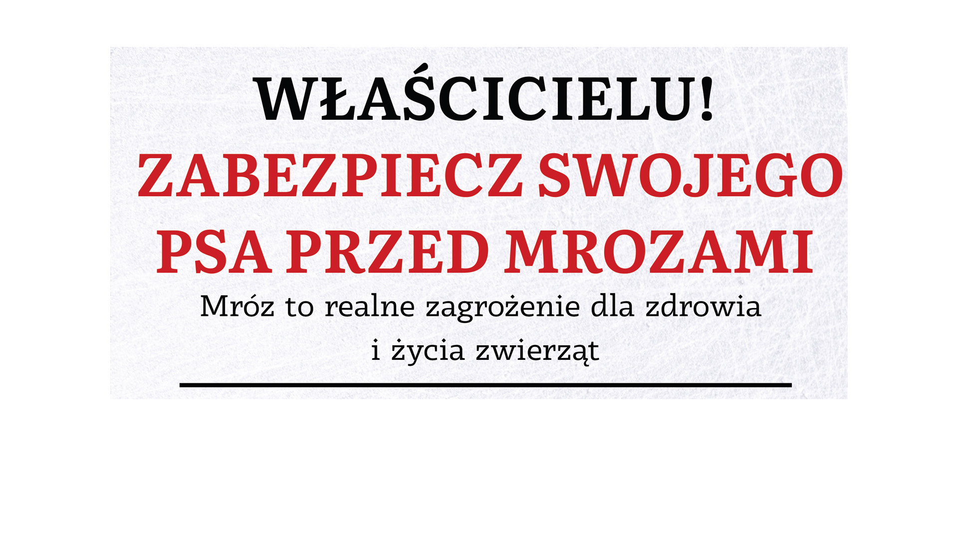 ZIMA WIOZ ZWIERZETA baner